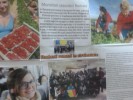 MIGRATIA ROMANILOR - 2014-2015