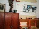 VOLUNTARIATUL TE TINE IN PRIZA